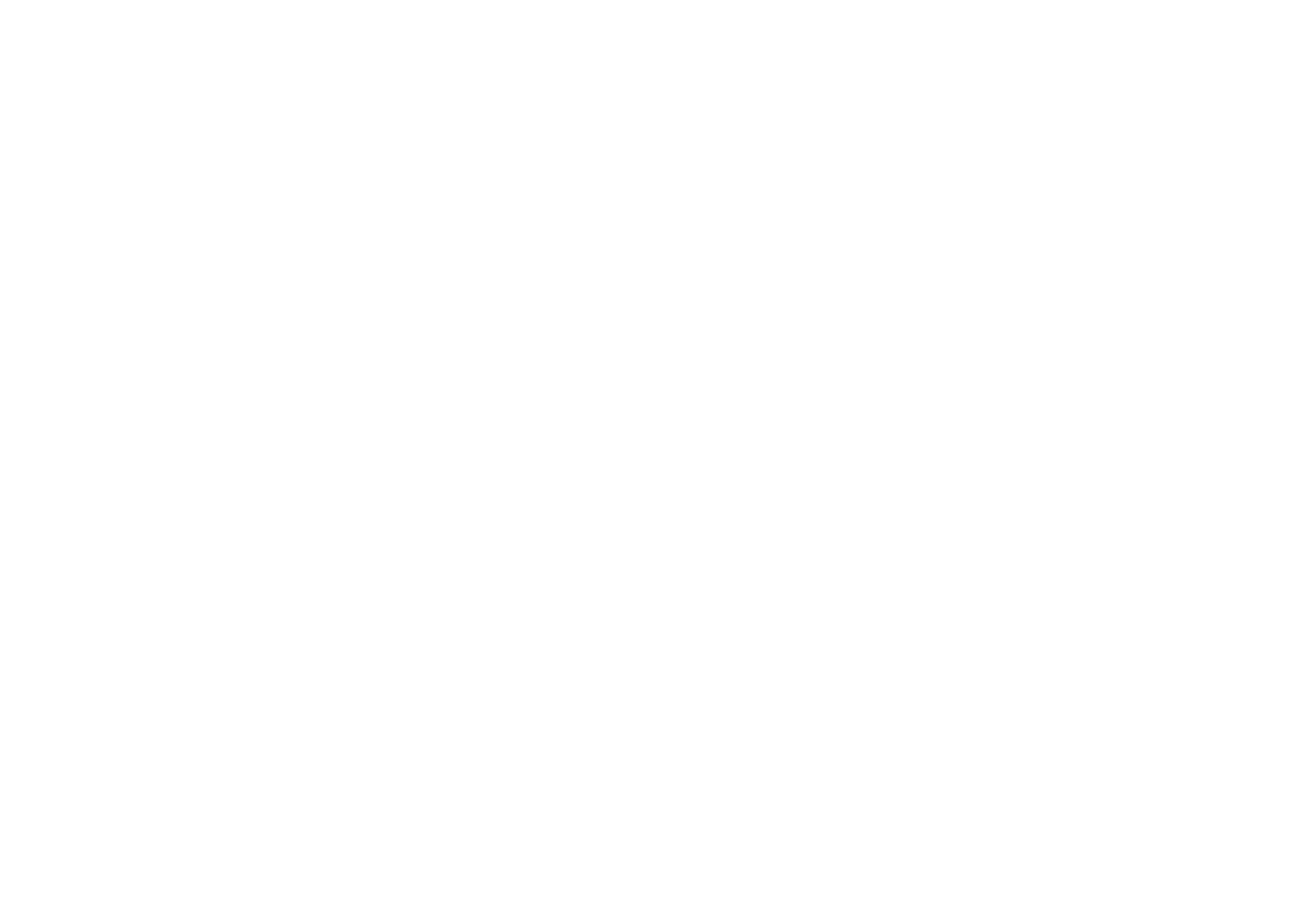 CASTALIE_LOGO_VERTICAL-white